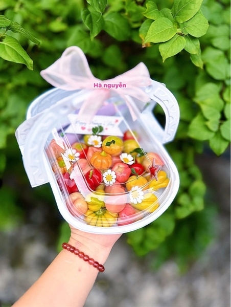 Hộp Nhựa - Chữ Nhật Quai Xách - Trắng 23x15x6cm
