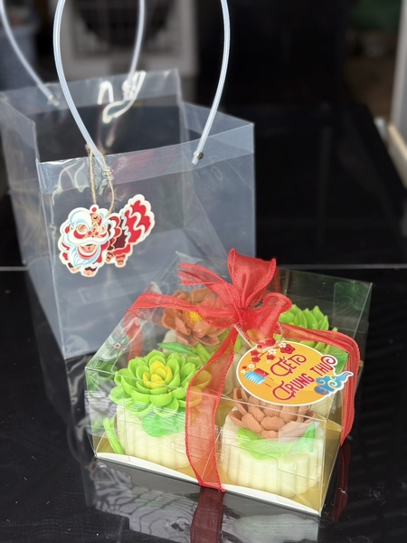 Túi Nhựa - Đựng Hộp Mika - Quai Xách 22cm