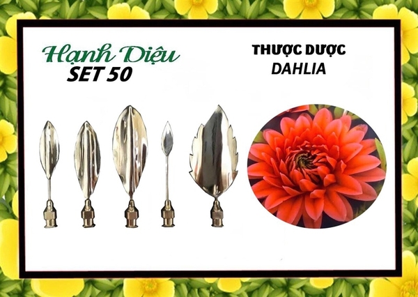 Kim 3D Inox - Bộ 5 - Mẫu 50 Thược Dược DAHLIA