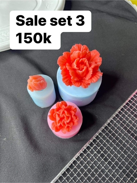 Khuôn Silicon - Hoa Cẩm Chướng Set 3 - 3-4-7cm