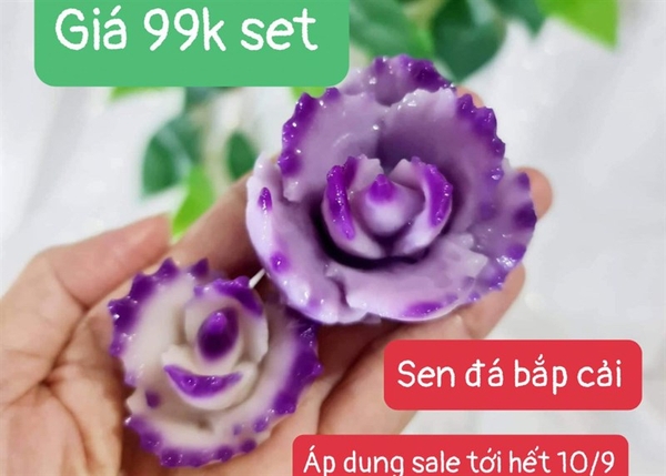 Combo 2 Khuôn Silicon Sen Đá - Ssd