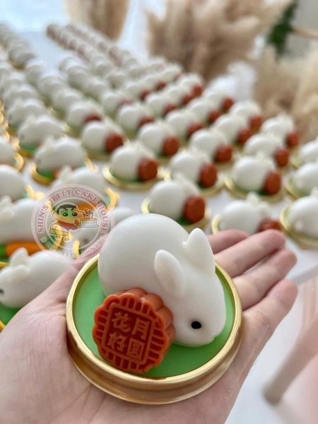 Khuôn Silicon - Bánh Kẹo Set 5c Bánh