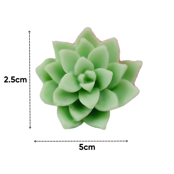 Combo 10 Khuon Silicon Sen Đá 345k