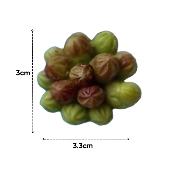 Combo 10 Khuon Silicon Sen Đá 345k