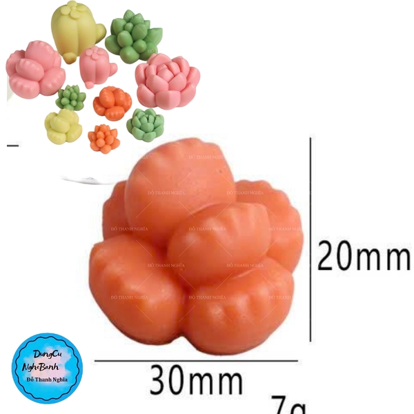 Combo 8 Khuôn Silicon Sen Đá Mầm Gai