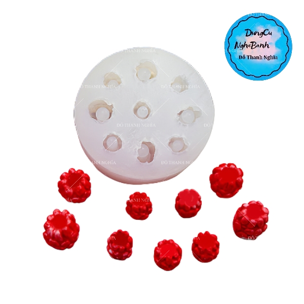 Khuôn Silicon - Trái Cây Berry - Mâm Xôi Lỗ 1.1cm 1.7cm - 9c