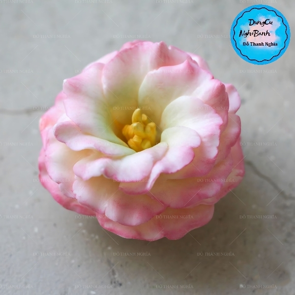 Khuôn Silicon - Hoa Cúc - Cát Tường 5.2cm