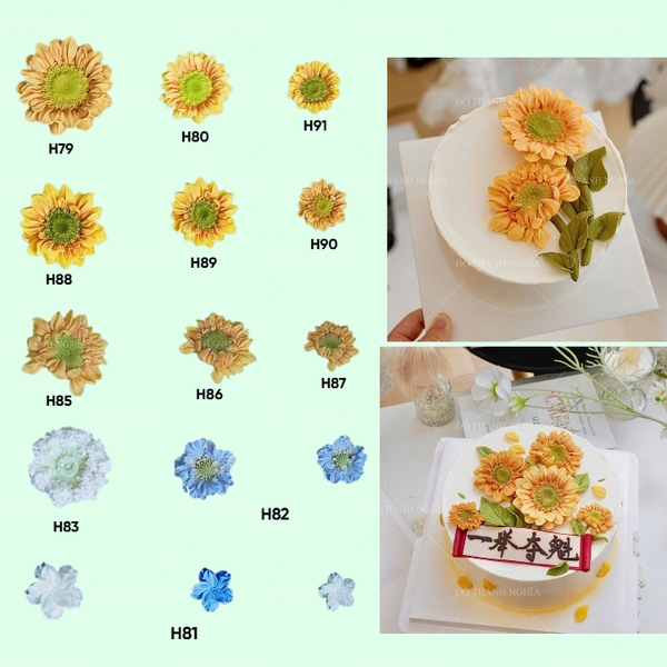 Khuôn Silicon - Set Combo 12 Hoa Hướng Dương Hàn Quốc