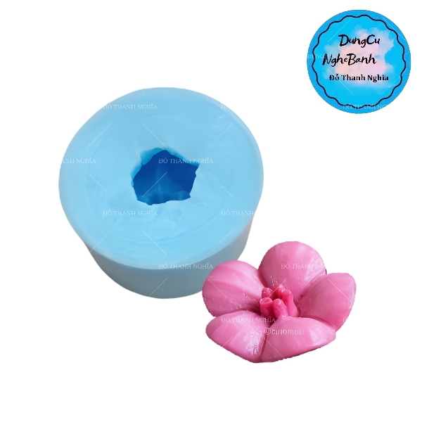 Khuôn Silicon - Hoa Mai Đào v31 - hoa trung V31-3.2cm