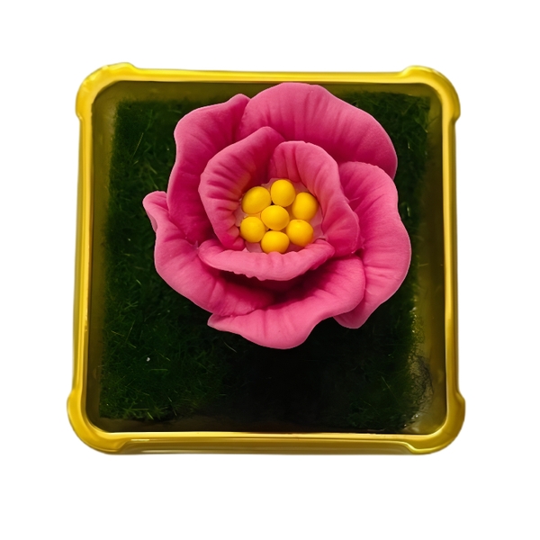 Khuôn Silicon - Hoa Cúc Thái E6