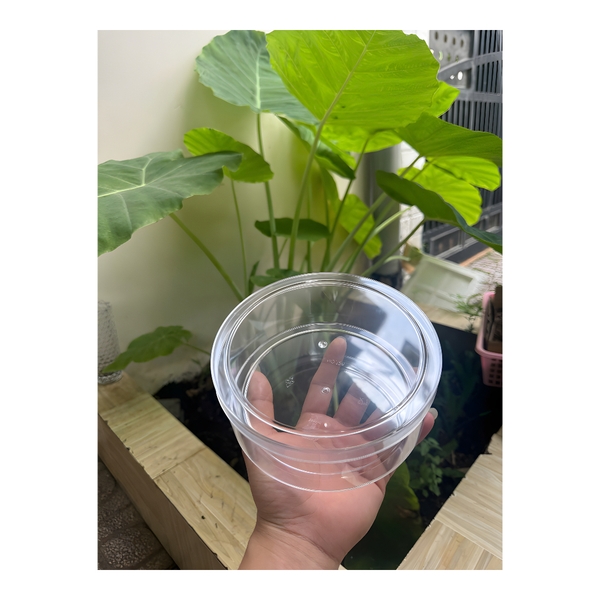 Hộp Nhựa Mika - Tròn 20x5.5cm - Cứng Giòn - 1200ml