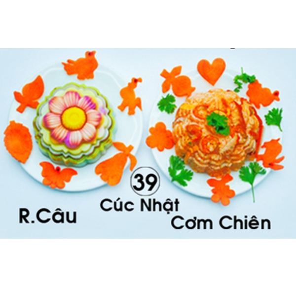 Khuôn Nhựa RCNL - NL39 - Cúc Nhật