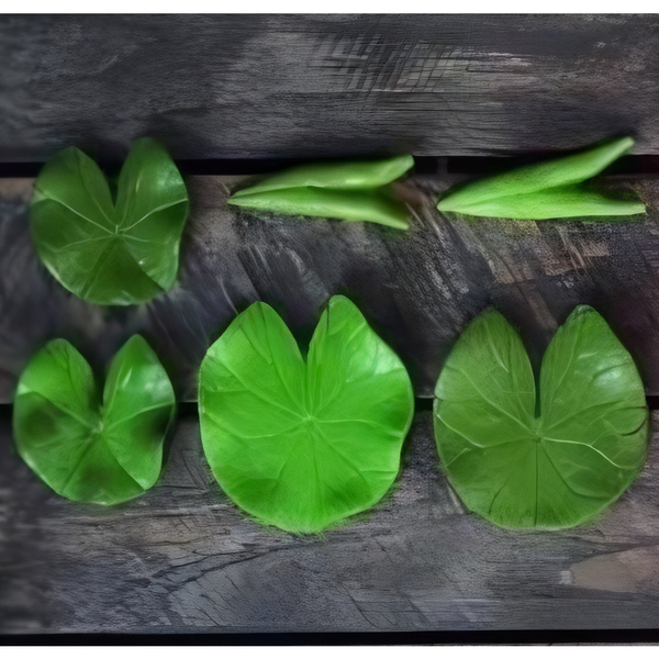 Khuôn Silicon - Lá Sen - 6c - Thái