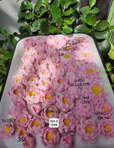 Khuôn Silicon - Hoa Sen Thái Mini - bộ 7 SL200