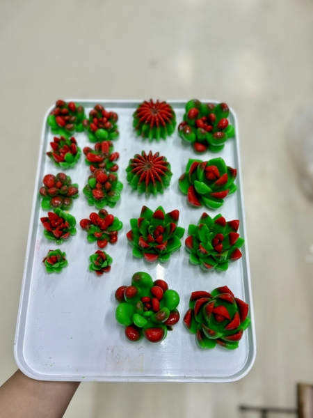 Combo 9 Sen Đá Hồng