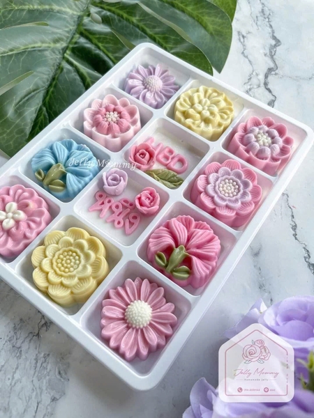 Hộp Nhựa Đế Trắng 12 Ngăn - 12 Ô