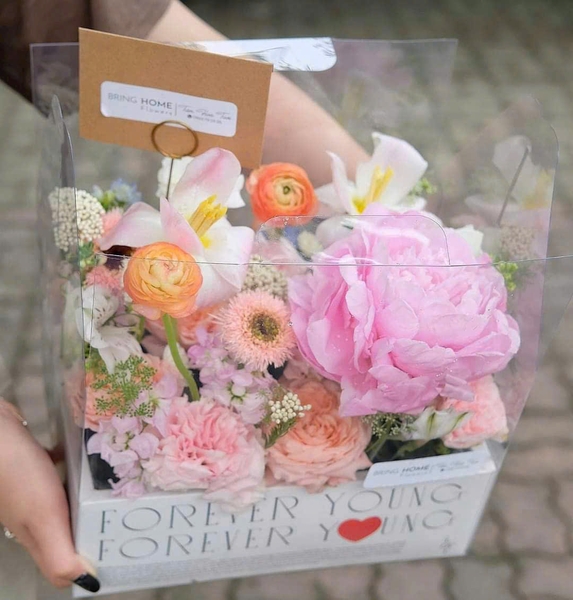 Hộp Nhựa Mika - Chữ Nhật Quai Xách Đế Giấy Love 2 Ngăn Ngày Lễ - 27x19cm - Cao 18cm