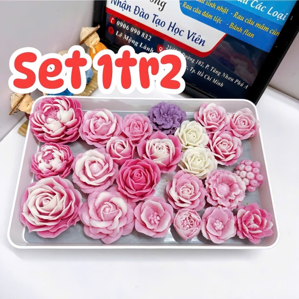 Combo 16 Khuoon Silicon Hoa Hồng 1Tr2