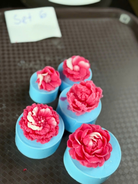 [Thanh Lý] - Combo Silicon Thanh Lý