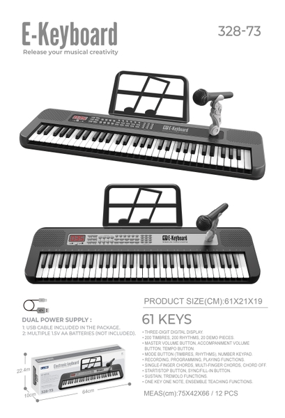 328-73  HỘP ĐÀN PIANO PIN 61 PHÍM + MICRO