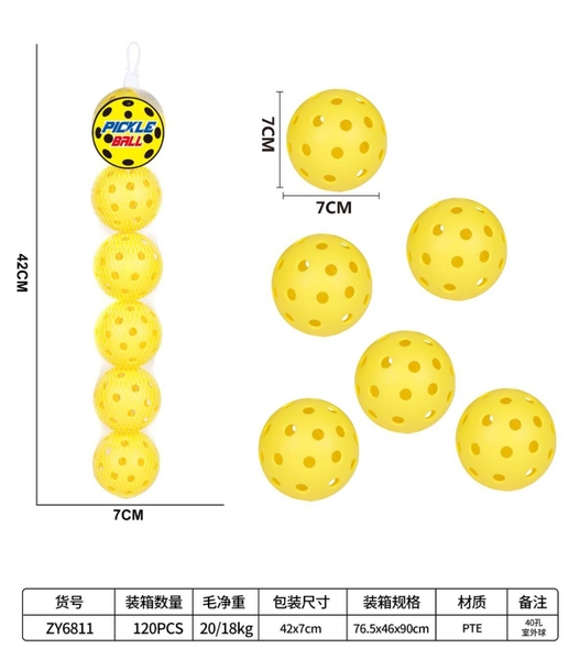 ZY6811  LƯỚI BANH PICKLEBALL 6T