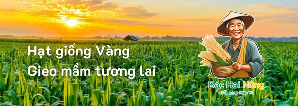 Hạt giống