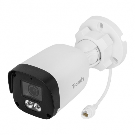Camera IP TIANDY TC-C321N V2.0