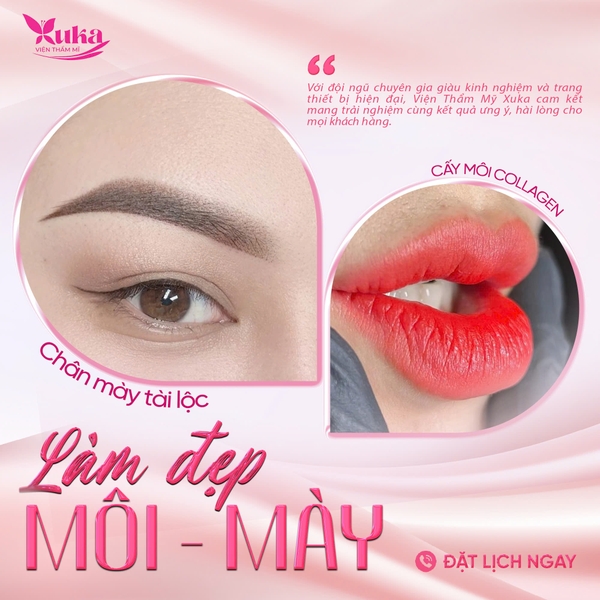 cay-moi-collagen-te-bao-goc