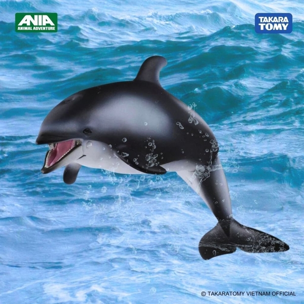 Mô hình động vật Cá heo ANIA AS-19 Dolphin 615446 Fullbox Chính hãng TakaraTomy