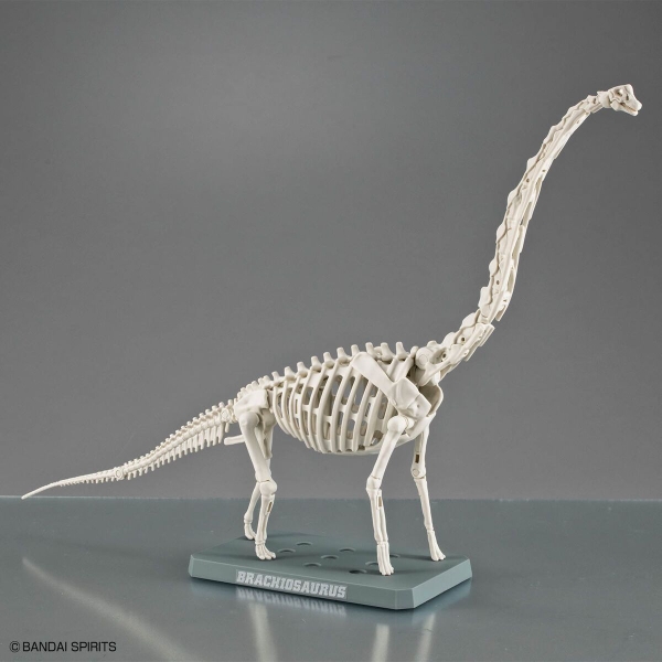 Mô Hình Lắp Ráp Khủng Long PLANNOSAURUS Brachiosaurus của Bandai Nhật bản