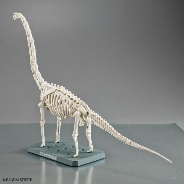 Mô Hình Lắp Ráp Khủng Long PLANNOSAURUS Brachiosaurus của Bandai Nhật bản
