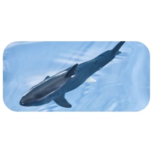 Mô Hình Động Vật Ania AL-11 Megalodon Floating Ver - Cá Mập Khổng Lồ của TAKARA TOMY