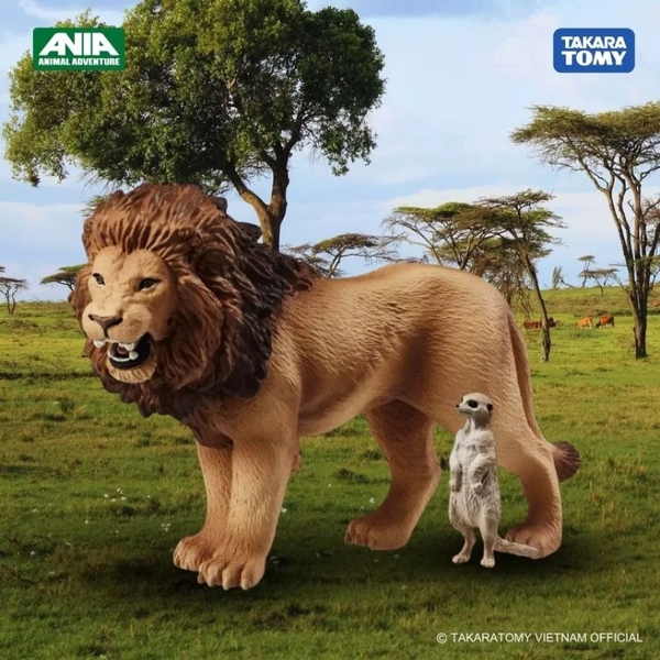 Mô hình động vật – Ania AS-01 Lion (With Suricata Suricatta) – Sư tử và chồn Mangut của Takara Tomy