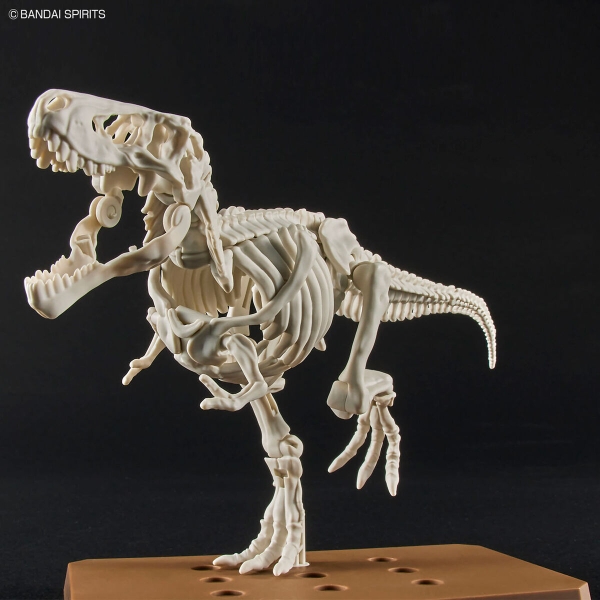 Mô Hình Lắp Ráp Khủng Long PLANNOSAURUS Tyrannosaurus của Bandai Nhật Bản