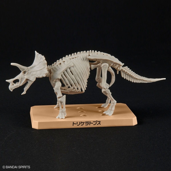 Mô Hình Lắp Ráp Khủng Long PLANNOSAURUS Triceratops của Bandai Nhật Bản