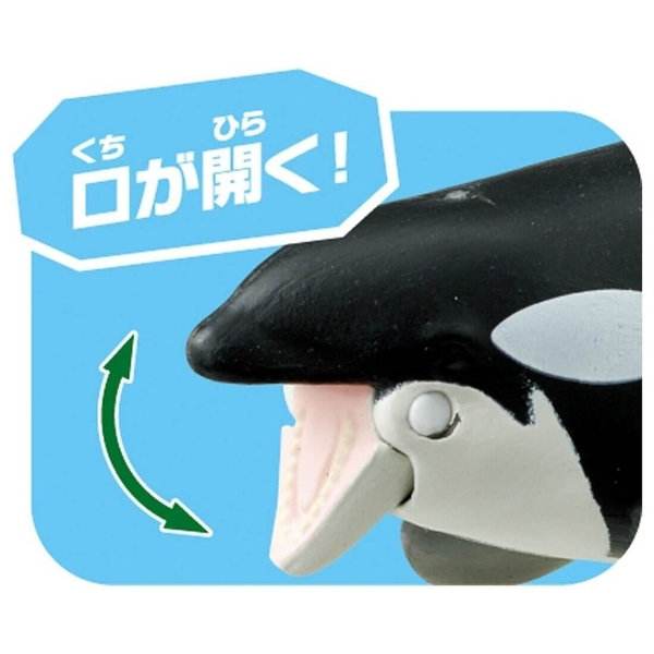 Mô hình Cá Voi cao cấp ANIA AL-08 Killer Whale (Floatable Ver,)(có thể nổi trên nước) Của TakaraTomy