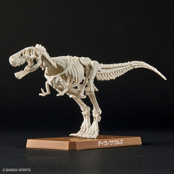 Mô Hình Lắp Ráp Khủng Long PLANNOSAURUS Tyrannosaurus của Bandai Nhật Bản