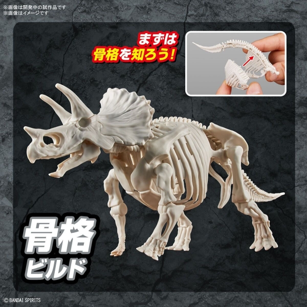 Mô Hình Lắp Ráp Khủng Long PLANNOSAURUS Triceratops của Bandai Nhật Bản