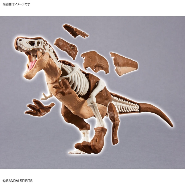 Mô Hình Lắp Ráp Khủng Long PLANNOSAURUS Tyrannosaurus của Bandai Nhật Bản