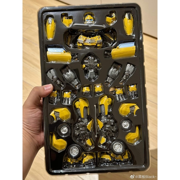 Mô Hình Lắp Ráp Model KIT Bumblebee YOLOPARK AMK SERIES của YOLOPARK