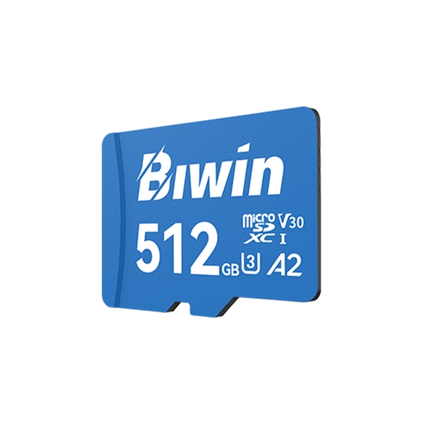 Thẻ nhớ Biwin MS210 microSD UHS-I V30