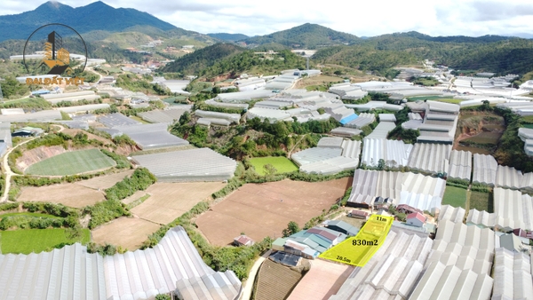 Bán Nhà Ở Nguyễn Hoàng, P7, Đà Lạt