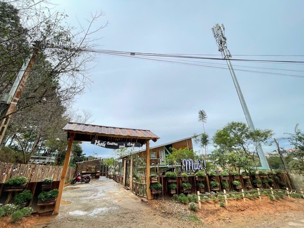 Bán Nhà Sân Vườn View Đẹp Hoàng Hoa Thám, P10, Đà Lạt