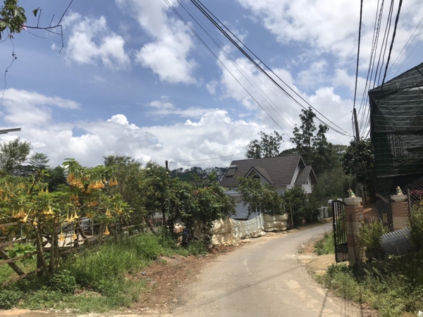 Bán Nhà Sân Vườn View Đẹp Hoàng Hoa Thám, P10, Đà Lạt