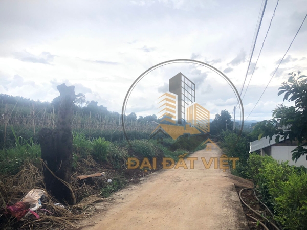 Bán Đất Ở View Trực Diện Nam Ban, Lâm Hà