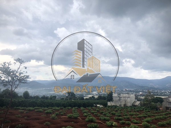 Bán Đất Ở View Trực Diện Nam Ban, Lâm Hà
