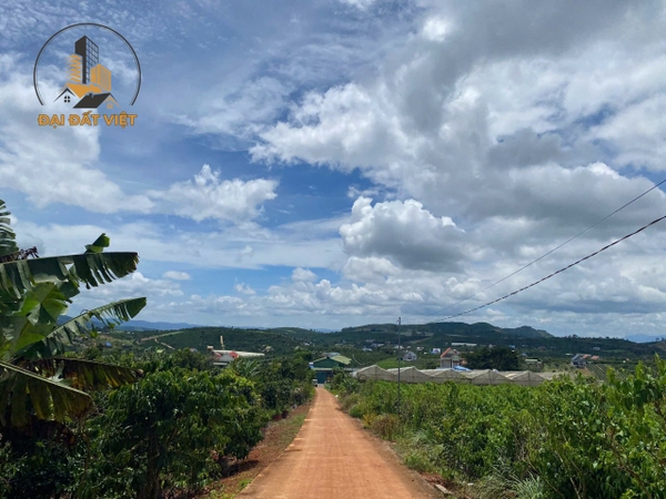Chính Chủ Gửi Bán Đất Xã Nam Hà, Lâm Hà