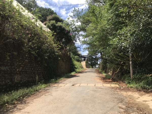 Bán Nhà Sân Vườn View Đẹp Hoàng Hoa Thám, P10, Đà Lạt