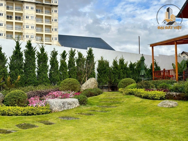 Bán Căn Villa Gỗ Sang Trọng Trần Đại Nghĩa, P8, Đà Lạt
