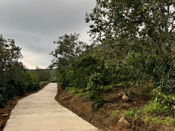 Bán Đất Nông Nghiệp Cây Ăn Trái Trạm Hạnh, Cầu Đất, Đà Lạt